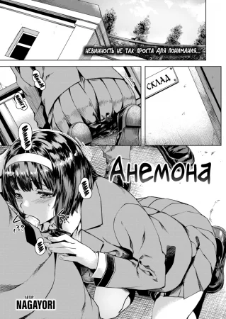 Анемона (Anemone)