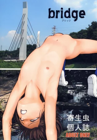 Bridge (Мостик)