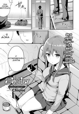 Shelter (Убежище)