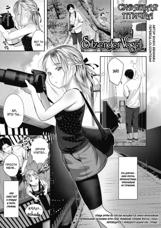 Sitzender Vogel (Сидящая птичка)