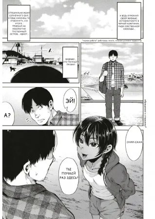 Ночь Фестиваля